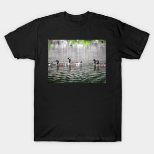 Geese on Peaceful Pond Country Living Photograph Beautiful Photography Art Geese on Lake T-Shirt